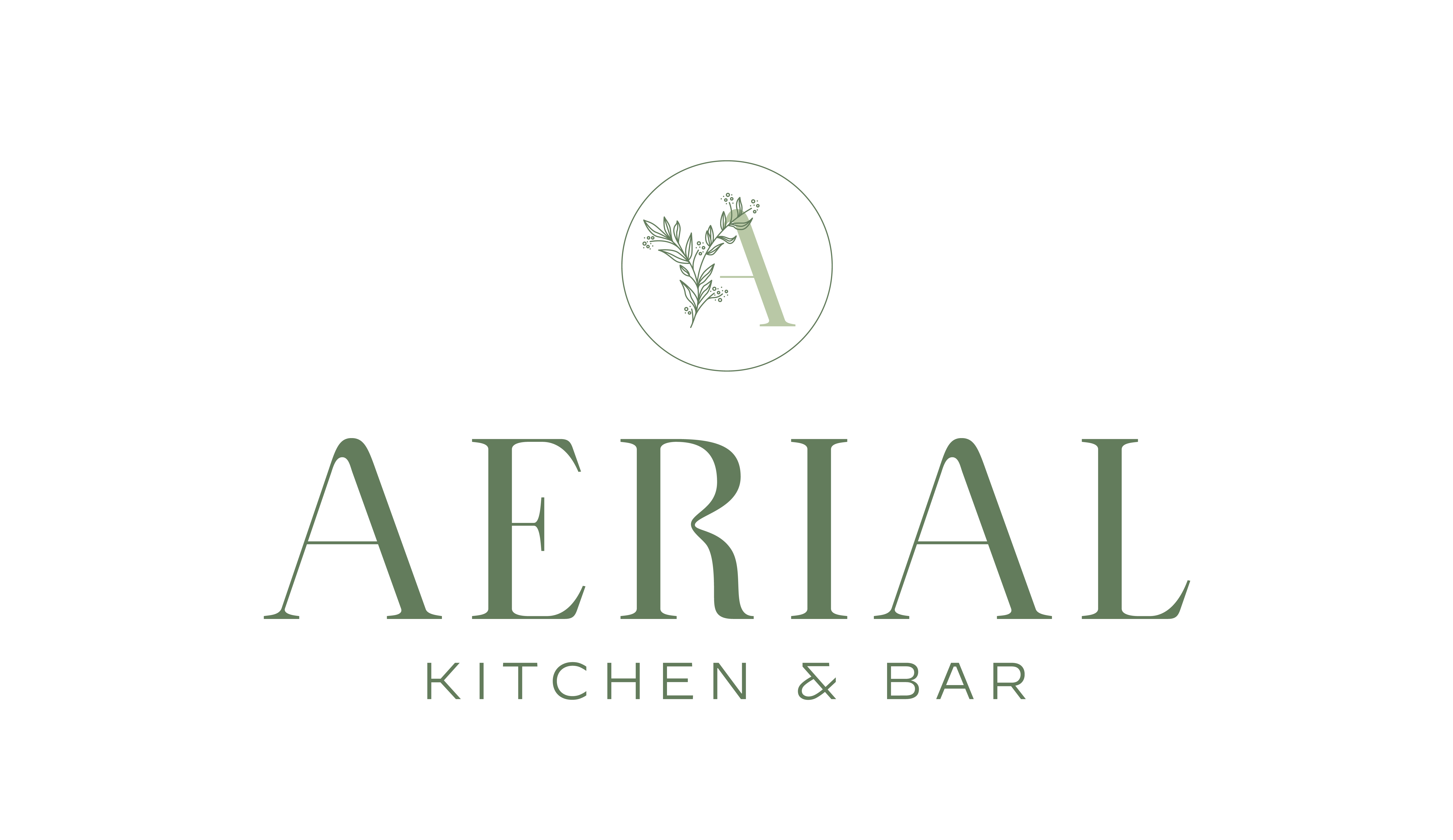 aerial kitchen and bar photos